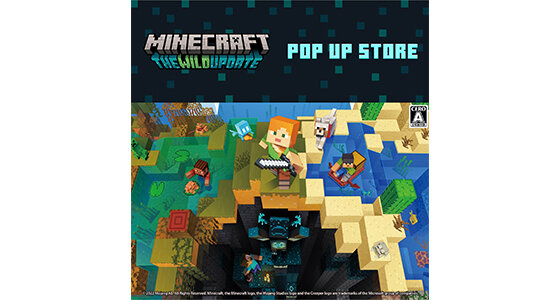 Minecraft POP UP STORE01