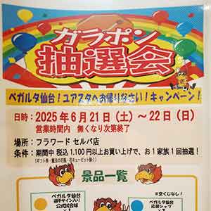 フラワード『ベガルタ仙台！ユアスタへおかえりなさい！ ガラポン抽選会！』