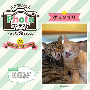 セルバフォトコンテスト・我が家の自慢のペット