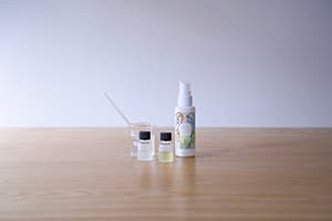 生活の木『1月ワークショップのお知らせ』