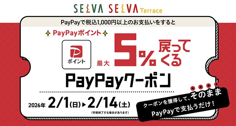 PayPayポイント　最大５％戻ってくるキャンペーン！