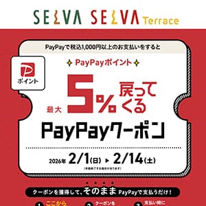 PayPayポイント　最大５％戻ってくるキャンペーン！
