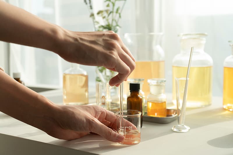 生活の木『4月ワークショップのお知らせ』