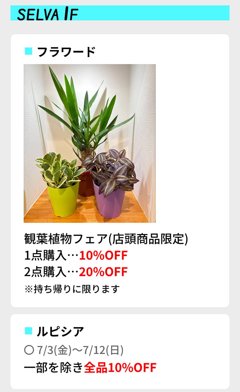 SELVA THE BARGAIN