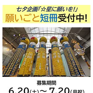 ベガルタ七夕飾り 願いごと短冊の受付中!