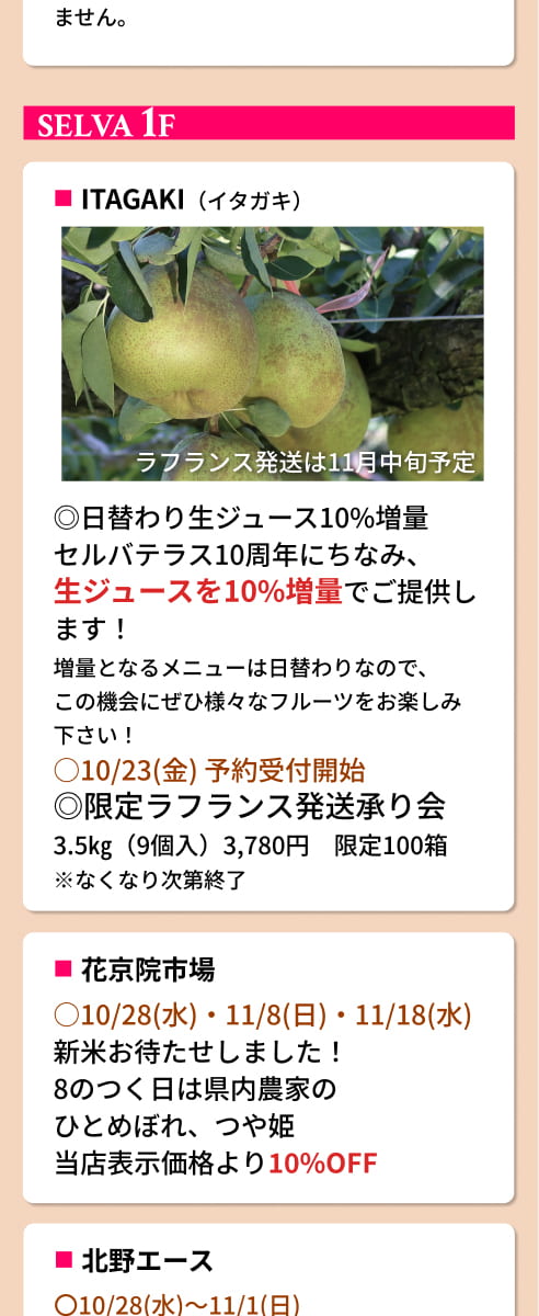 セルバテラス10周年記念イベント